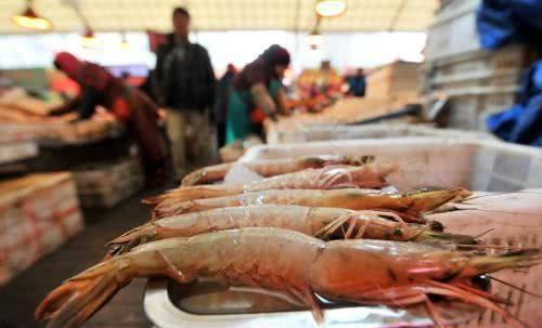 青岛大虾后续搞笑,一场美食引发的欢乐闹剧